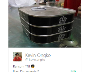 Vue.js Instagram Feed Component