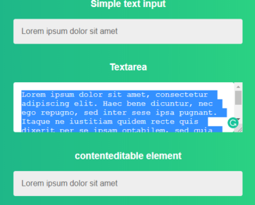 Select Text On Focus – vue-select-on-focus