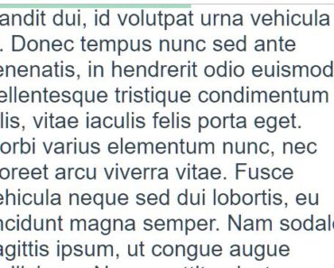 Reading Progress Bar For Vue.js