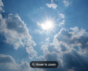 Touch-friendly Image Zoomer For Vue 3 Touch-friendly Image Zoomer For Vue 3