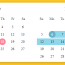 Modern Calendar And Datepicker For Vue – Functional Calendar