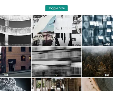 Shared Component Across Routes With Animations – Vue Starport