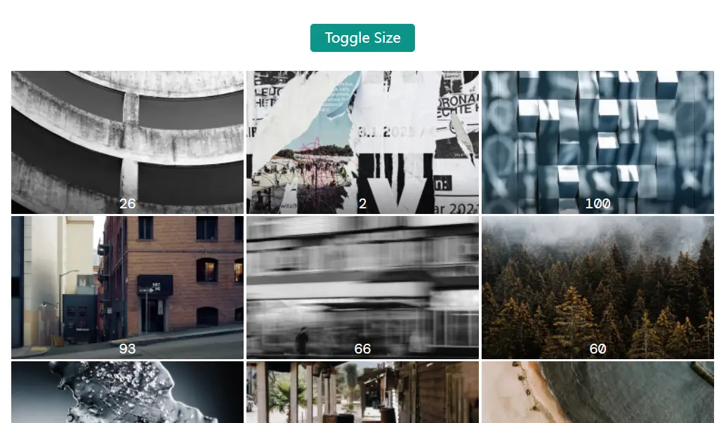 Shared Component Across Routes With Animations - Vue Starport